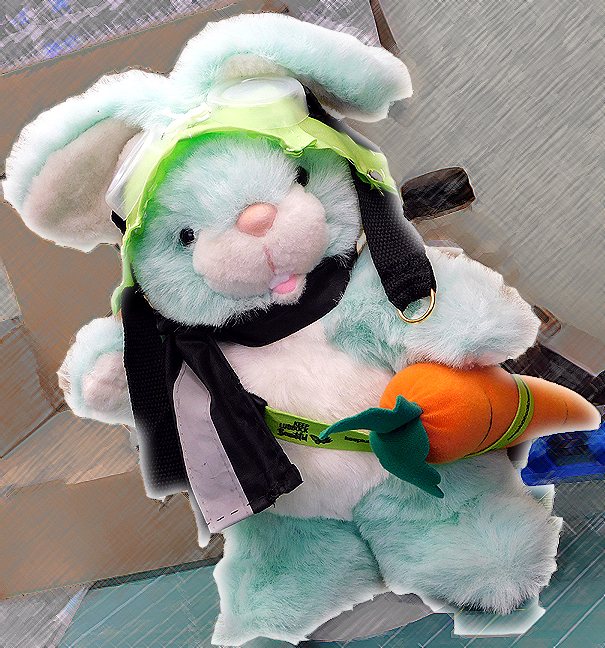 City of Lubbock, Texas - Departments | Keep Lubbock Beautiful