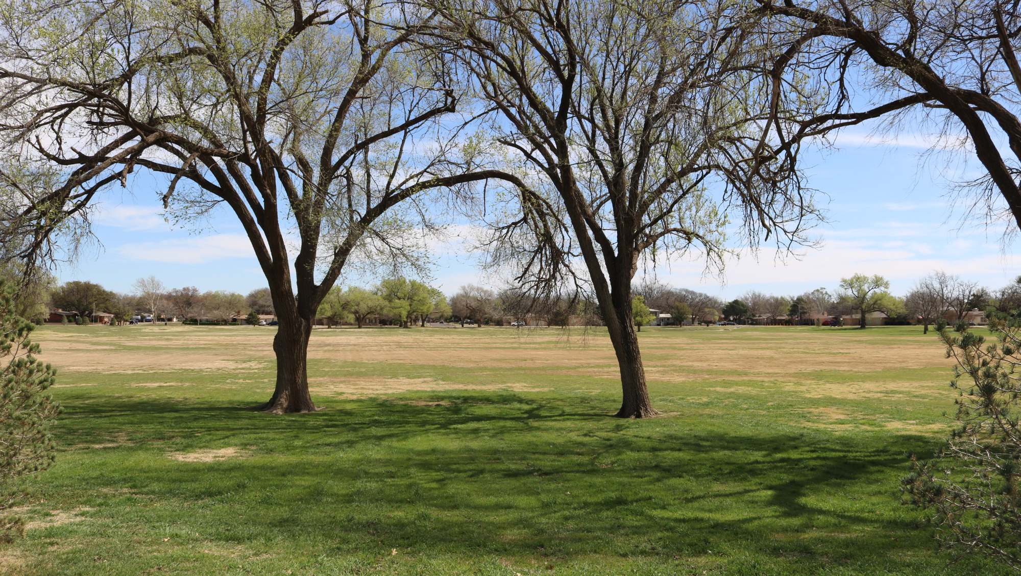 City of Lubbock, Texas - Departments | Parks & Recreation